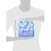 San Benedetto Natural Premium Artesian Water 16.9 oz Plastic Bottles (Pack of 24)(Natural Water 16.9)